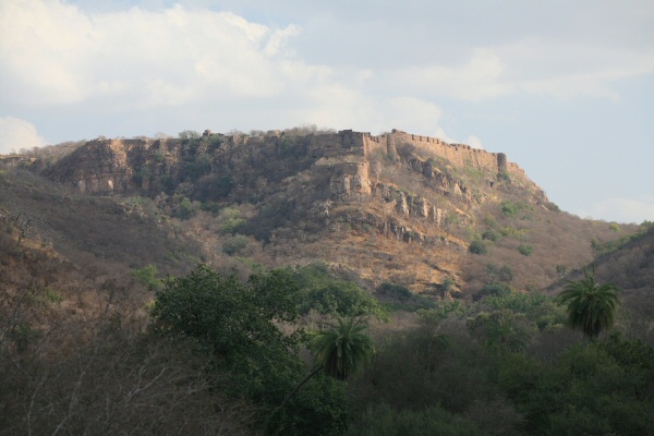 The Fort